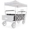 FUXTEC - Tissu D'habitacle Chariot De Transport Pliable City Cruiser En Gris
