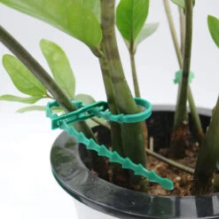 Attaches Pour Plantes De 17 Cm Réglables 100 Pièces, Attaches Pour Plantes Réutilisables Attaches Rapides En Plastique Pour Le Support Des Plantes -Mottetch Boutique 34054305 3