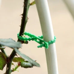 Attaches Pour Plantes De 17 Cm Réglables 100 Pièces, Attaches Pour Plantes Réutilisables Attaches Rapides En Plastique Pour Le Support Des Plantes -Mottetch Boutique 34054305 4