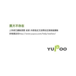 VINGO Rampe D'escalier Acier Inoxydable Main Courante Balustrade Garde-corps Argenté 80 Cm 3 Crossbars -Mottetch Boutique 57705254 5