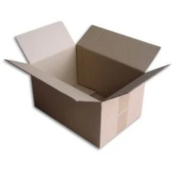 Lot De 10 Boîtes Carton (N°34) Format 300x200x160 Mm