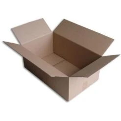 Lot De 5 Boîtes Carton (N°60) Format 500x300x200 Mm